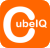 CIQ Logo